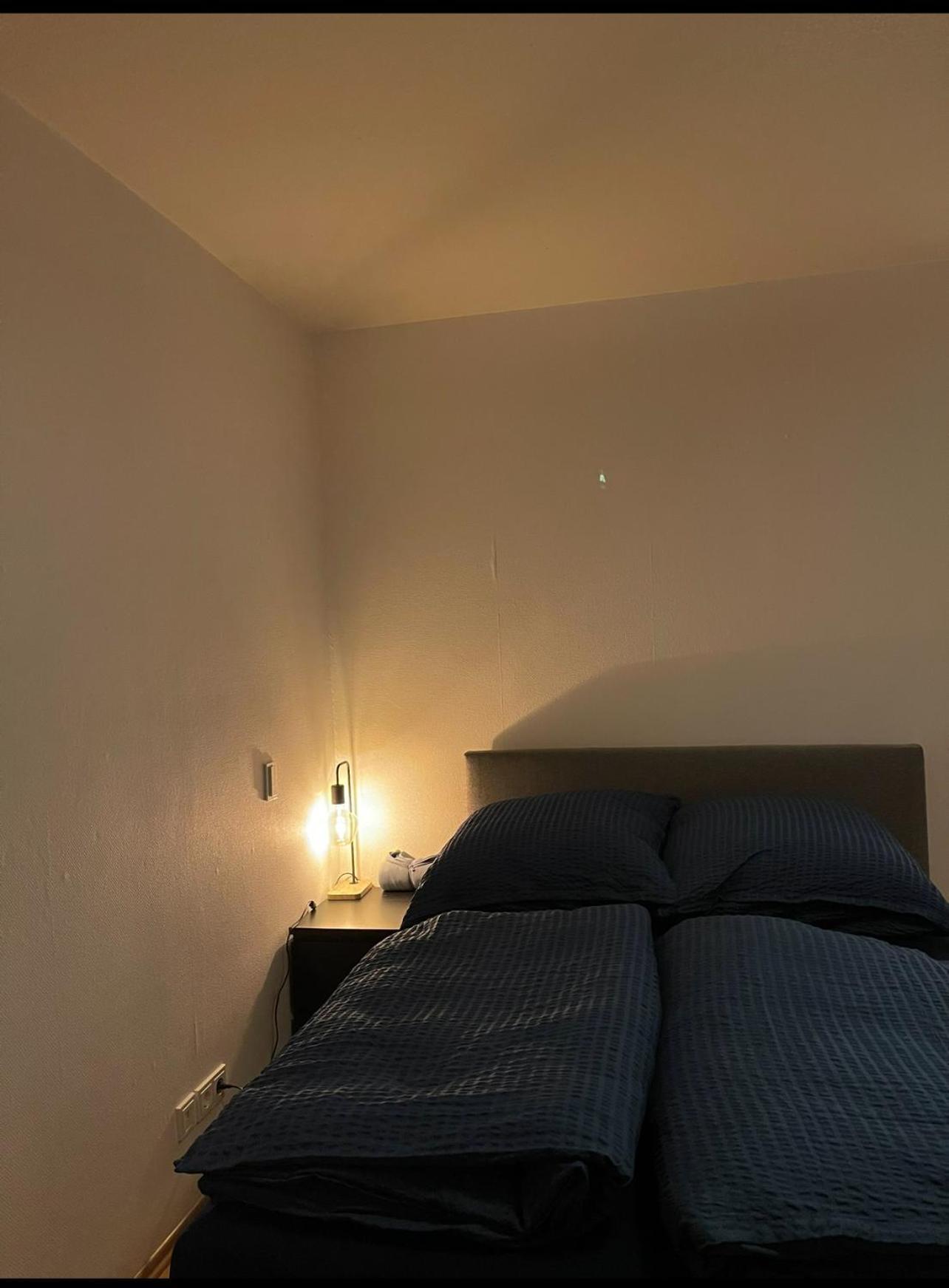 Blick Auf Den Weinberg - Apartment Mit Balkon トリーア エクステリア 写真